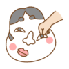 落ち込んでいる時にテンションを上げたいのならば、割り箸を咥える。そして鏡を見る。なんだその顔は・・・・それがいいんだよ